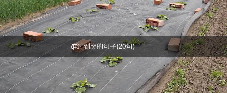难过到哭的句子(20句),第1张