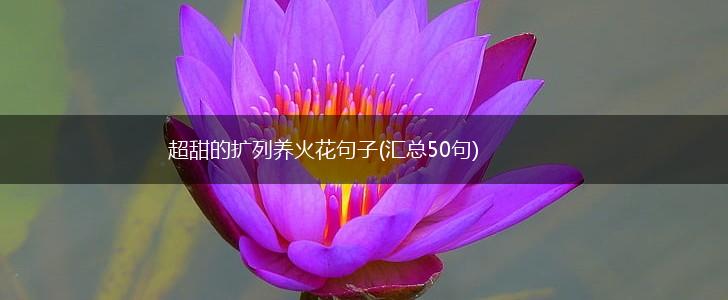 超甜的扩列养火花句子(汇总50句),第1张