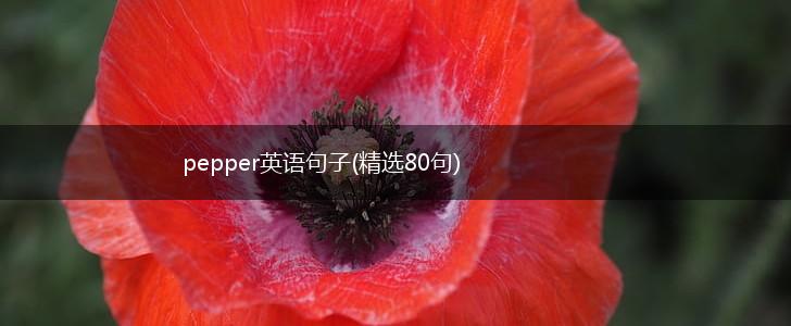 pepper英语句子(精选80句),第1张