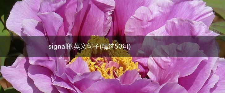 signal的英文句子(精选50句),第1张