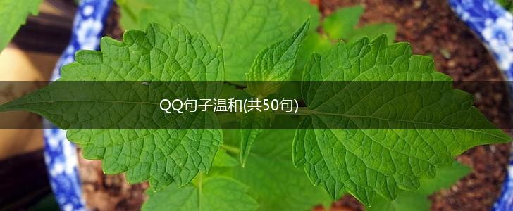 QQ句子温和(共50句),第1张