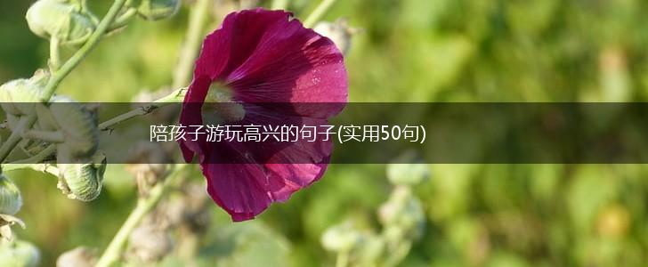 陪孩子游玩高兴的句子(实用50句),第1张