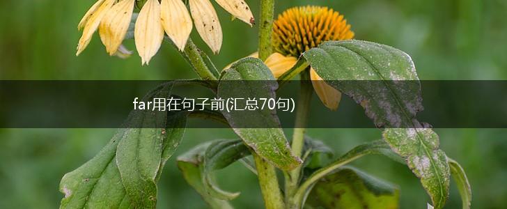 far用在句子前(汇总70句),第1张