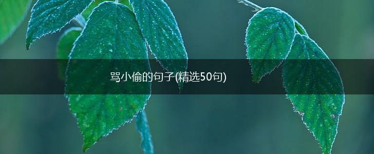 骂小偷的句子(精选50句),第1张