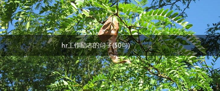 hr工作励志的句子(50句),第1张