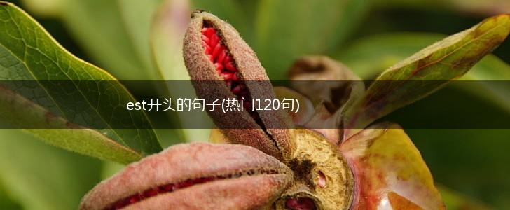 est开头的句子(热门120句),第1张
