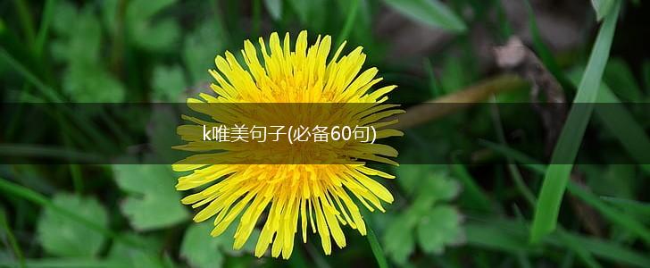 k唯美句子(必备60句),第1张