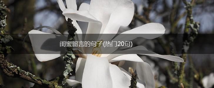 闺蜜留言的句子(热门20句),第1张