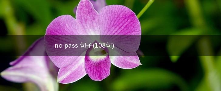 no pass 句子(108句),第1张