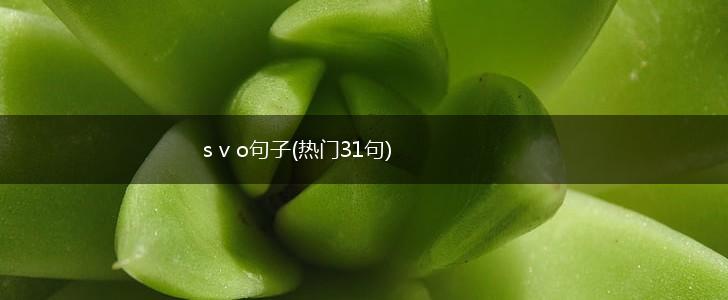 s v o句子(热门31句),第1张