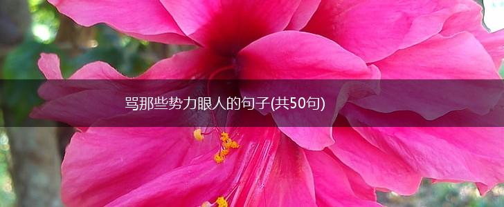 骂那些势力眼人的句子(共50句),第1张