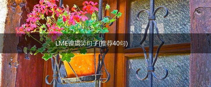 LME镍搞笑句子(推荐40句),第1张
