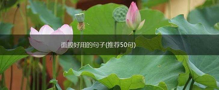 面膜好用的句子(推荐50句),第1张