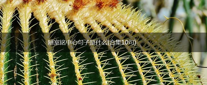 陋室铭中心句子是什么(合集10句),第1张