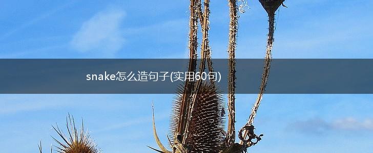 snake怎么造句子(实用60句),第1张