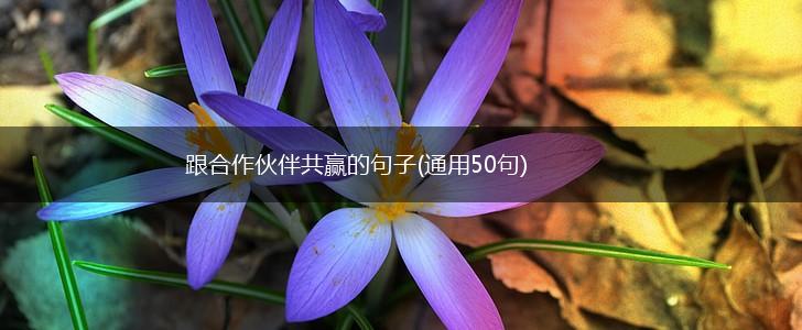 跟合作伙伴共赢的句子(通用50句),第1张