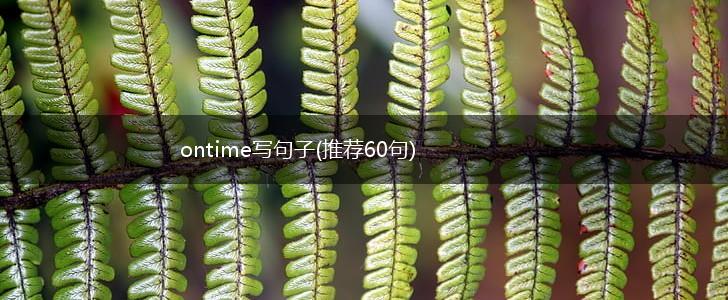 ontime写句子(推荐60句),第1张