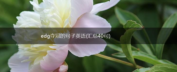 edg夺冠的句子英语(汇总40句),第1张