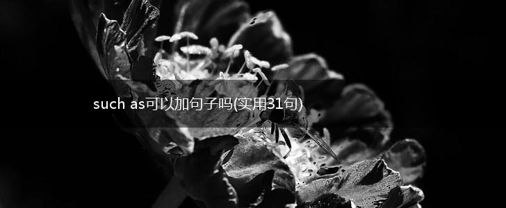 such as可以加句子吗(实用31句),第1张
