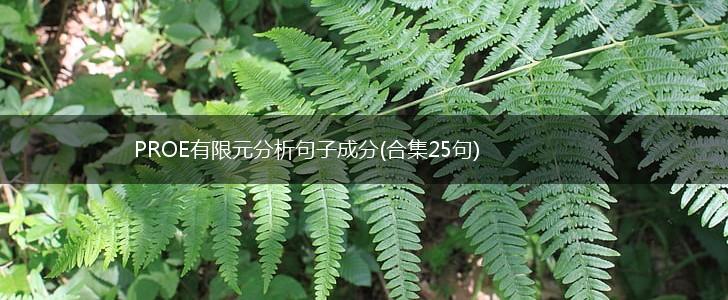 PROE有限元分析句子成分(合集25句),第1张