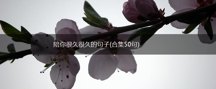 陪你很久很久的句子(合集50句),第1张
