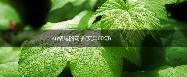 su结尾的句子(实用60句),第1张
