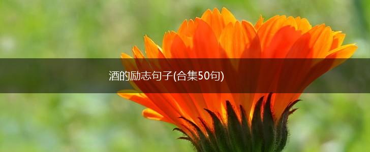 酒的励志句子(合集50句),第1张