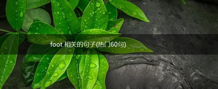 foot 相关的句子(热门60句),第1张