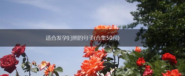 适合发孕妇照的句子(合集50句),第1张