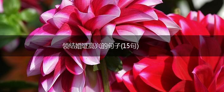 领结婚证高兴的句子(15句),第1张