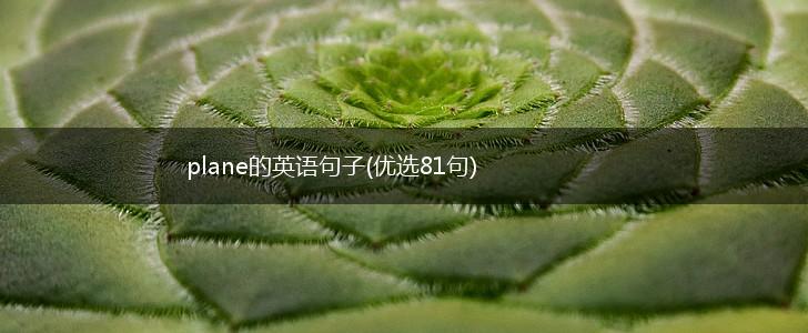 plane的英语句子(优选81句),第1张