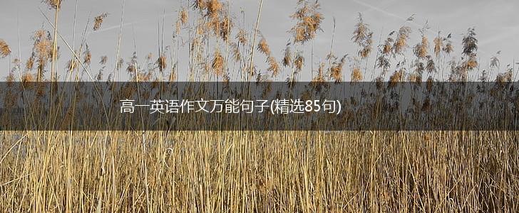 高一英语作文万能句子(精选85句),第1张