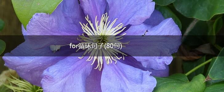 for循环句子(80句),第1张