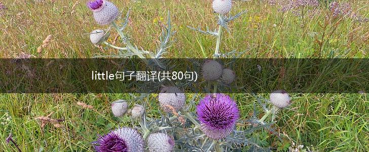 little句子翻译(共80句),第1张