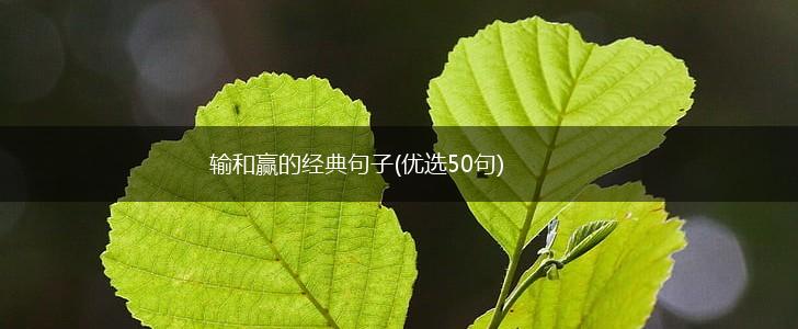 输和赢的经典句子(优选50句),第1张