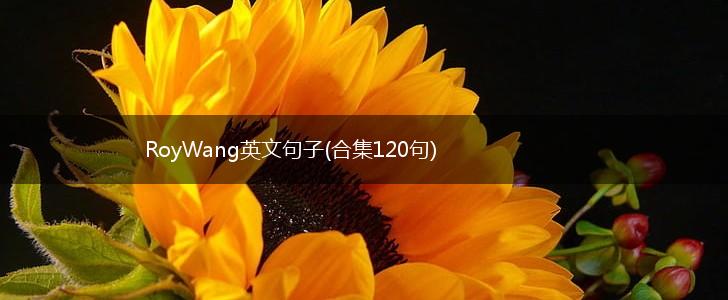 RoyWang英文句子(合集120句),第1张