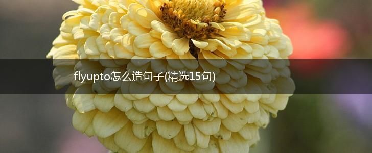 flyupto怎么造句子(精选15句),第1张