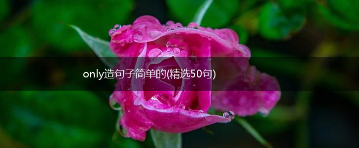 only造句子简单的(精选50句),第1张