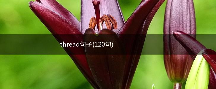 thread句子(120句),第1张