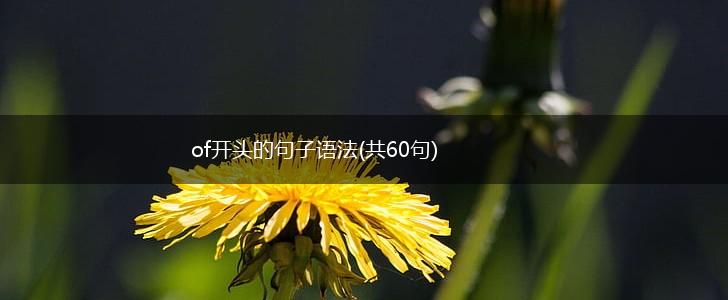 of开头的句子语法(共60句),第1张