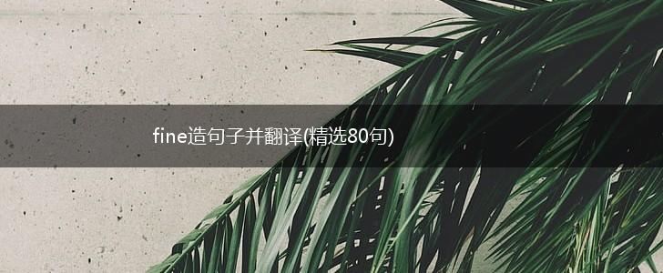 fine造句子并翻译(精选80句),第1张