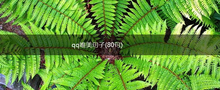 qq唯美句子(80句),第1张