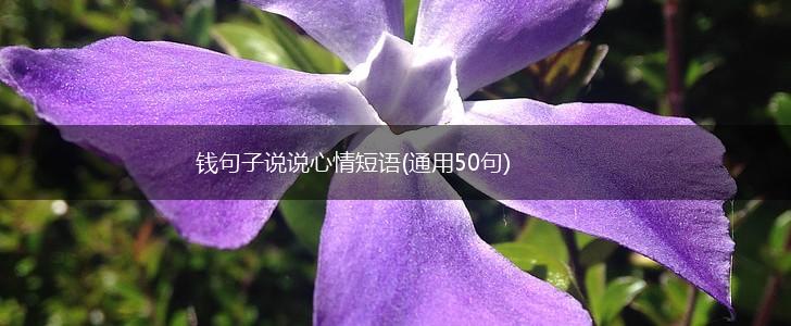 钱句子说说心情短语(通用50句),第1张
