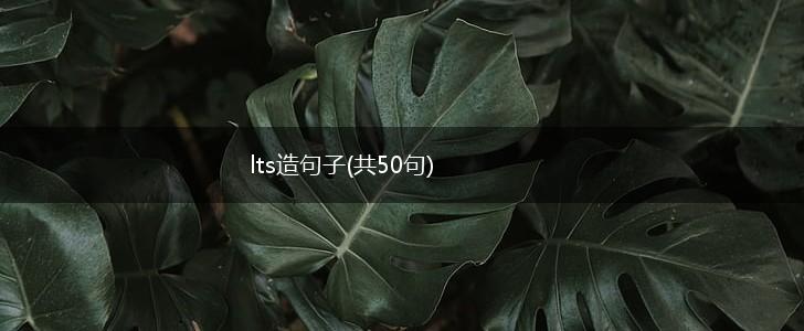 lts造句子(共50句),第1张