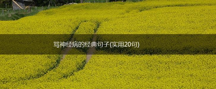 骂神经病的经典句子(实用20句),第1张