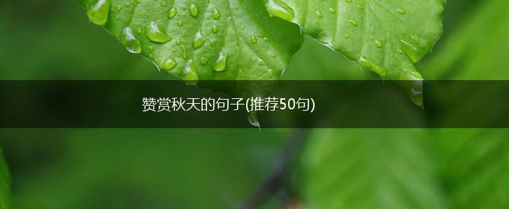 赞赏秋天的句子(推荐50句),第1张