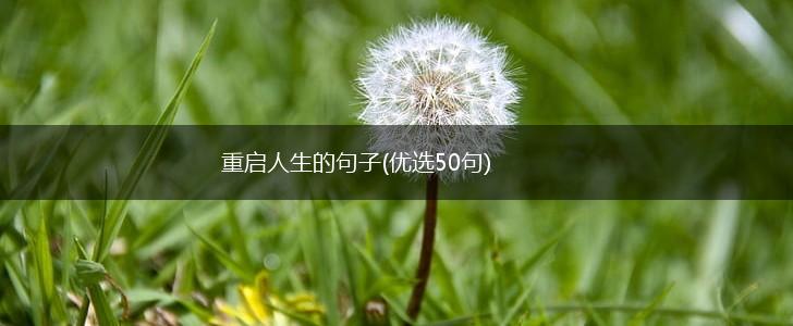 重启人生的句子(优选50句),第1张
