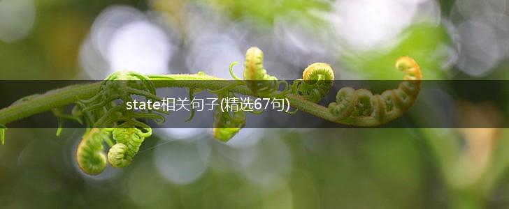 state相关句子(精选67句),第1张
