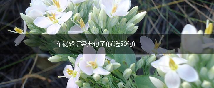 车祸感悟经典句子(优选50句),第1张