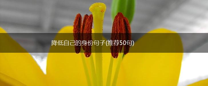 降低自己的身份句子(推荐50句),第1张
